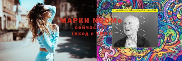 хмурый Алзамай